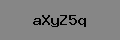 Captcha Verification